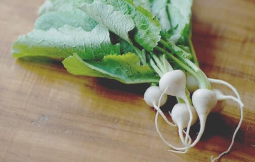 新鮮なかぶの写真